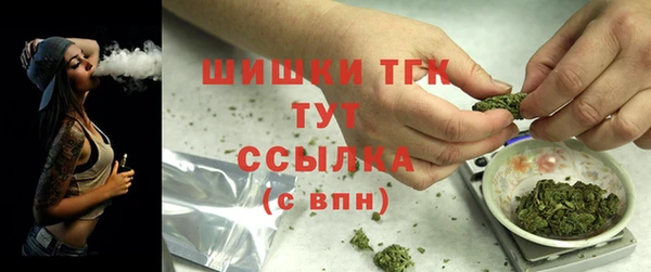 дживик Медвежьегорск