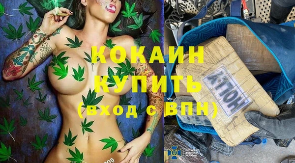 дживик Медвежьегорск