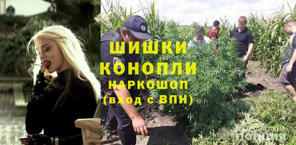 дживик Медвежьегорск